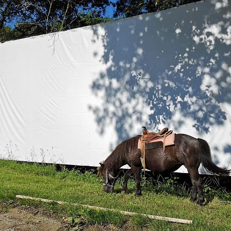 Domaine De Cavailla Villa Marmont-Pachas Dış mekan fotoğraf