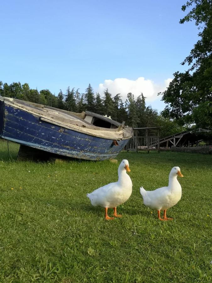 Domaine De Cavailla Villa Marmont-Pachas Dış mekan fotoğraf